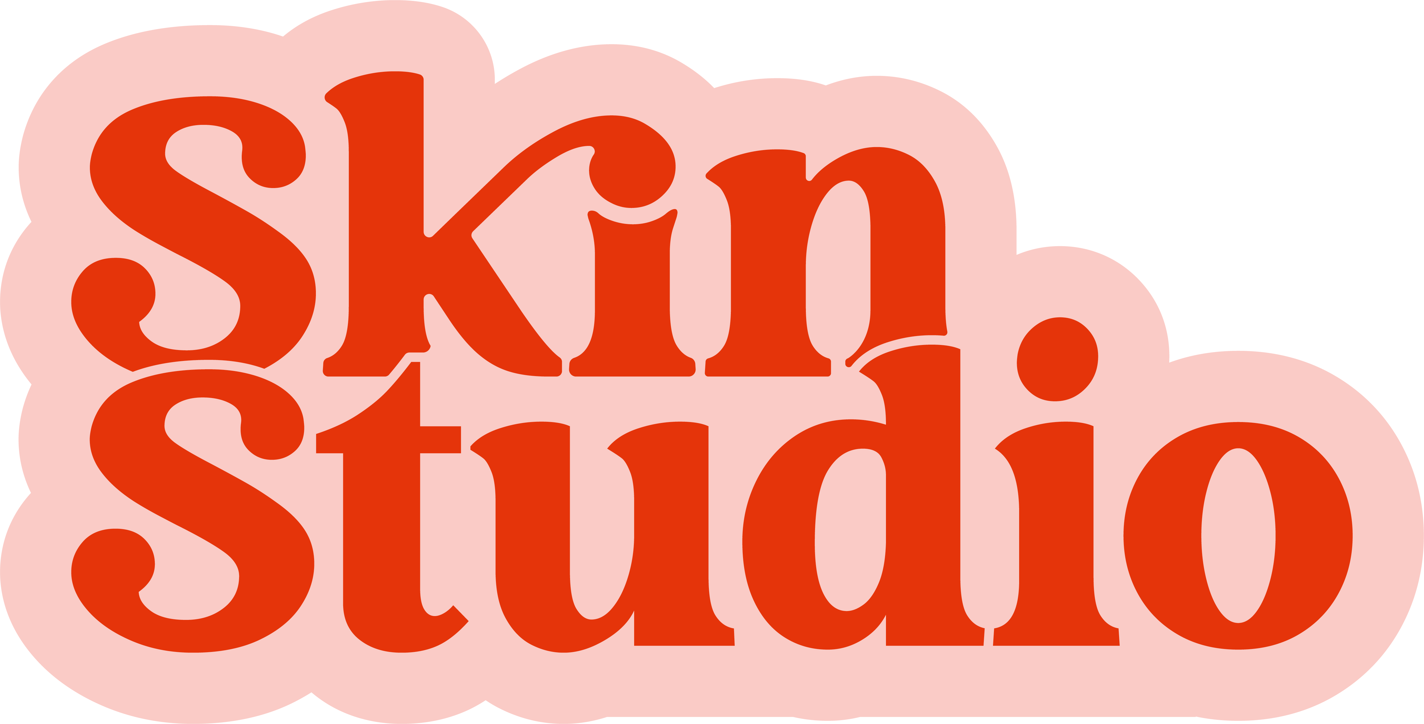 Skin Studio logo